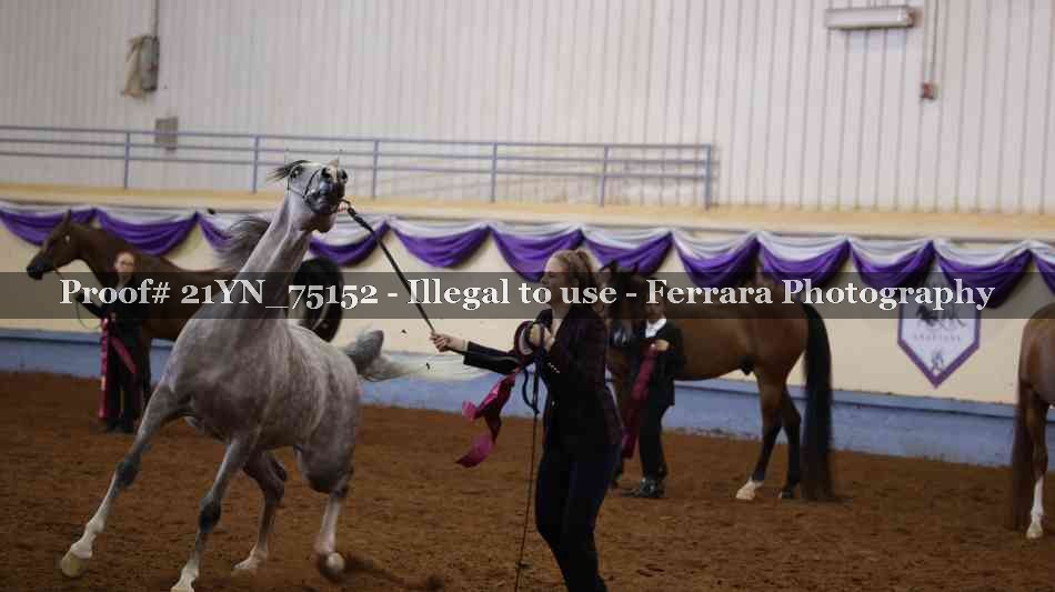 Proof 21YN_75152