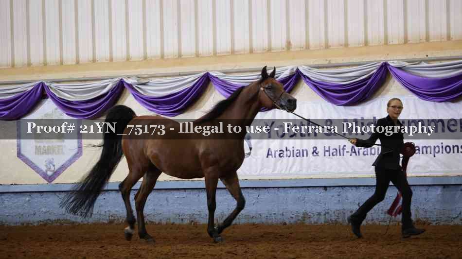 Proof 21YN_75173