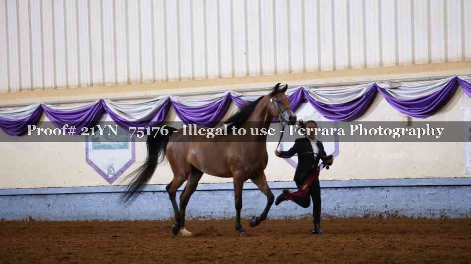 Proof 21YN_75176