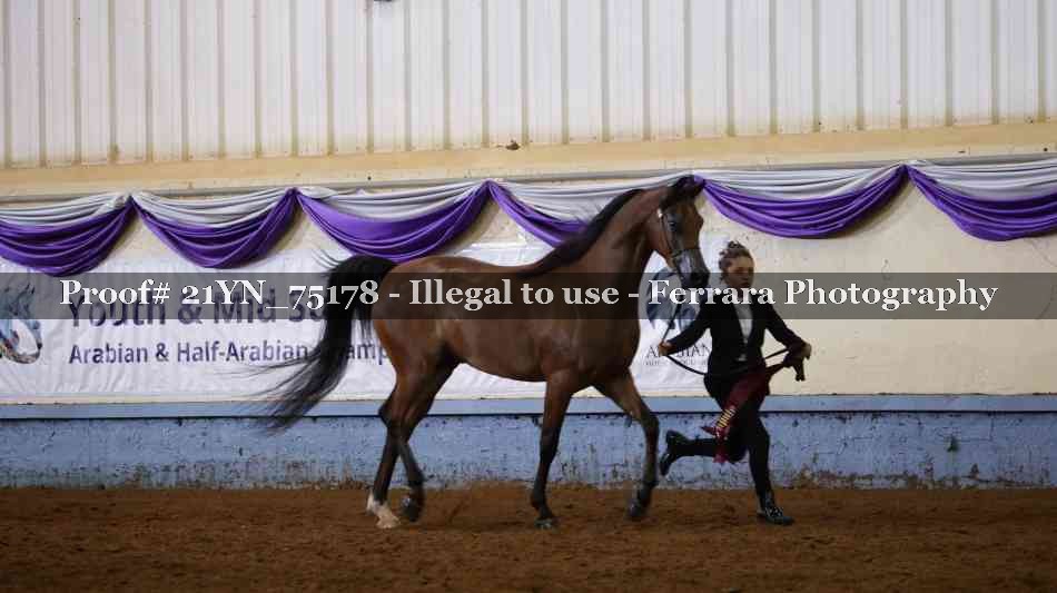 Proof 21YN_75178