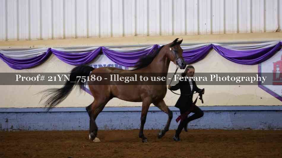 Proof 21YN_75180