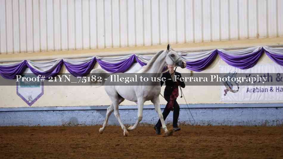 Proof 21YN_75182
