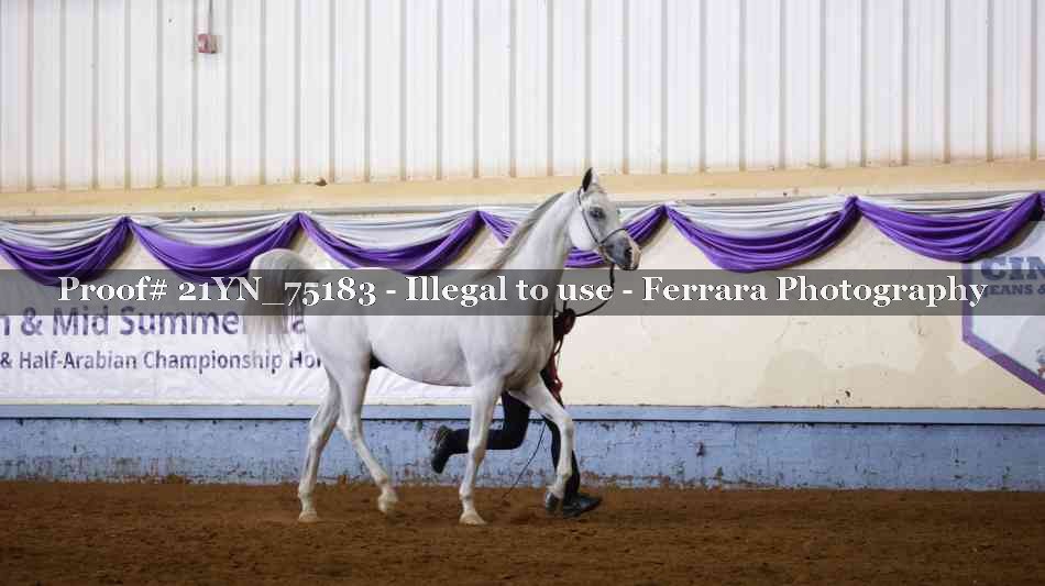 Proof 21YN_75183