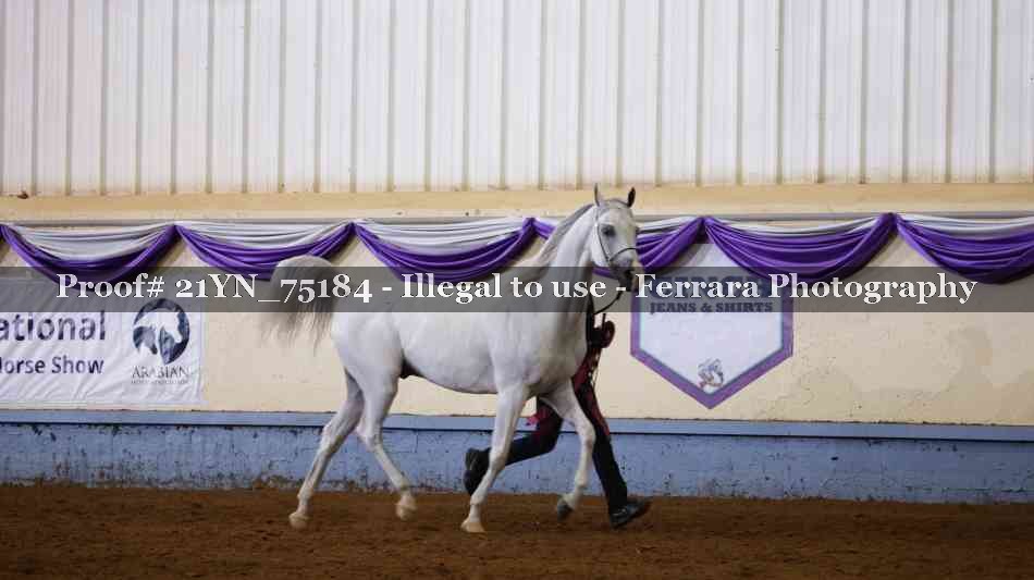Proof 21YN_75184