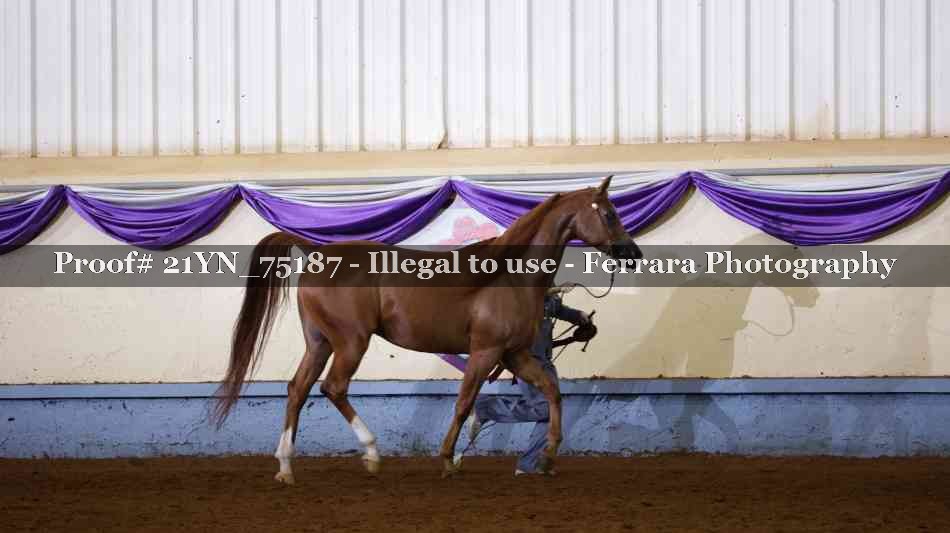 Proof 21YN_75187