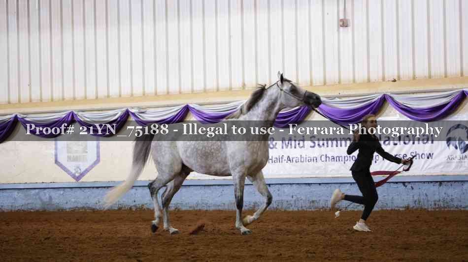 Proof 21YN_75188