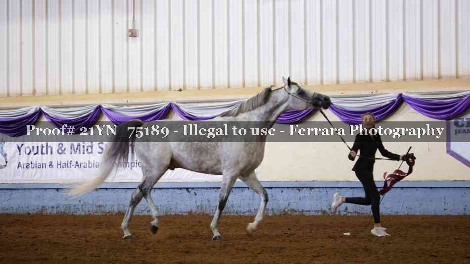 Proof 21YN_75189