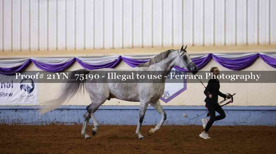 Proof 21YN_75190