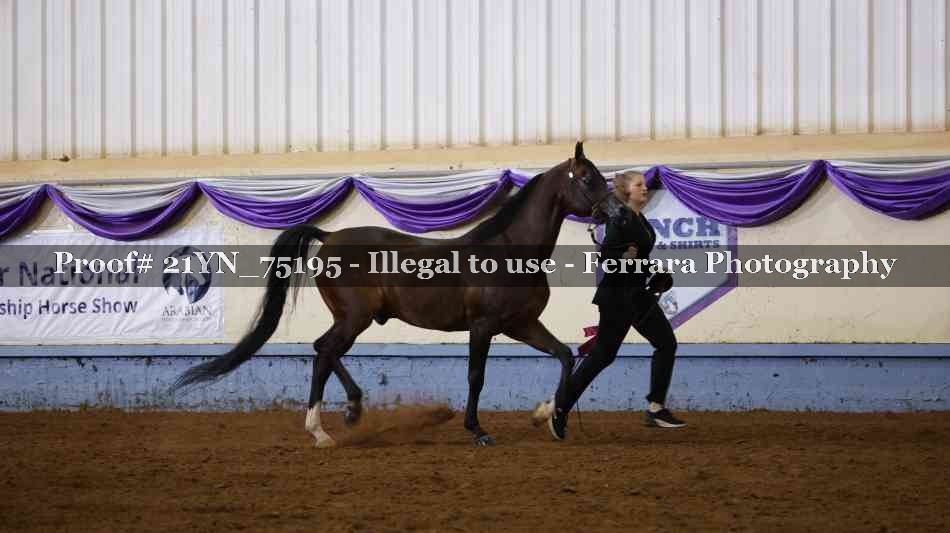Proof 21YN_75195