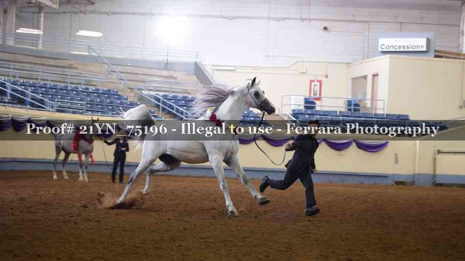 Proof 21YN_75196