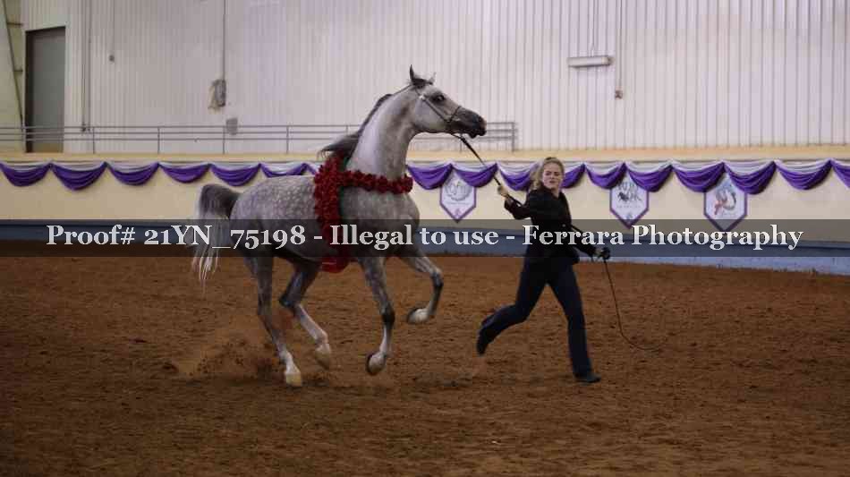 Proof 21YN_75198