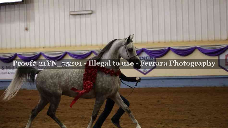 Proof 21YN_75201
