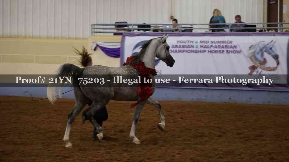 Proof 21YN_75203