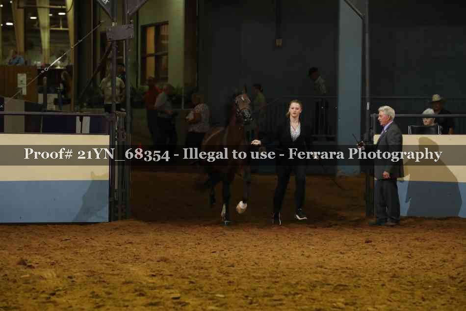 Proof 21YN_68354