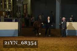 21YN_68354 proof
