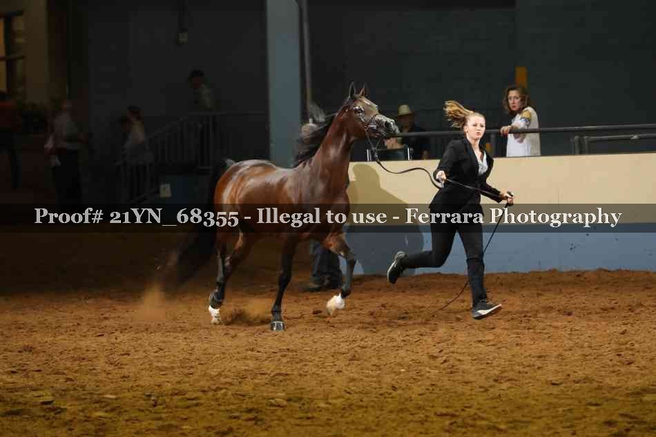 Proof 21YN_68355