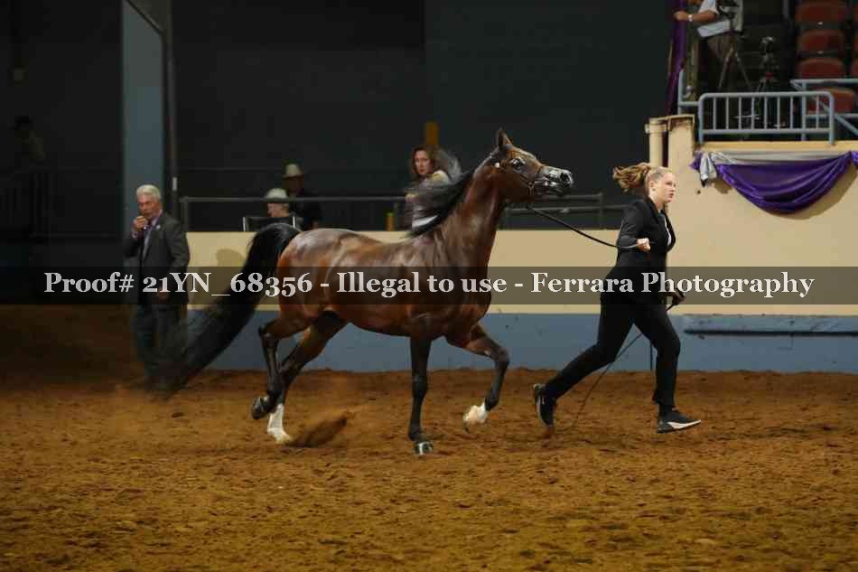 Proof 21YN_68356
