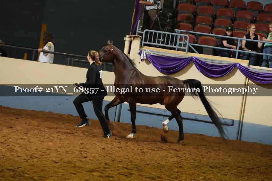 Proof 21YN_68357