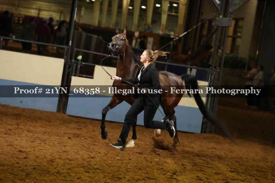 Proof 21YN_68358