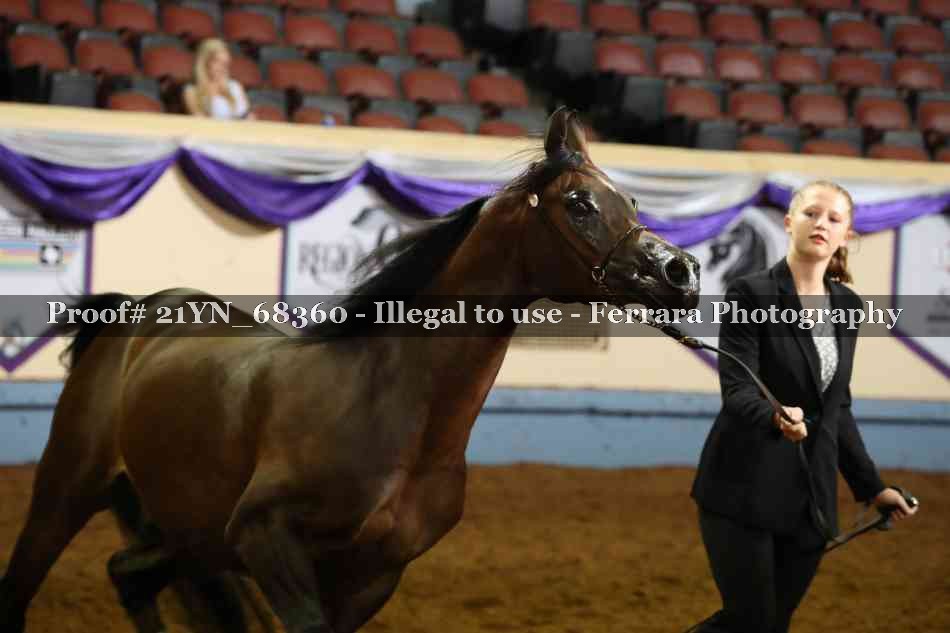 Proof 21YN_68360