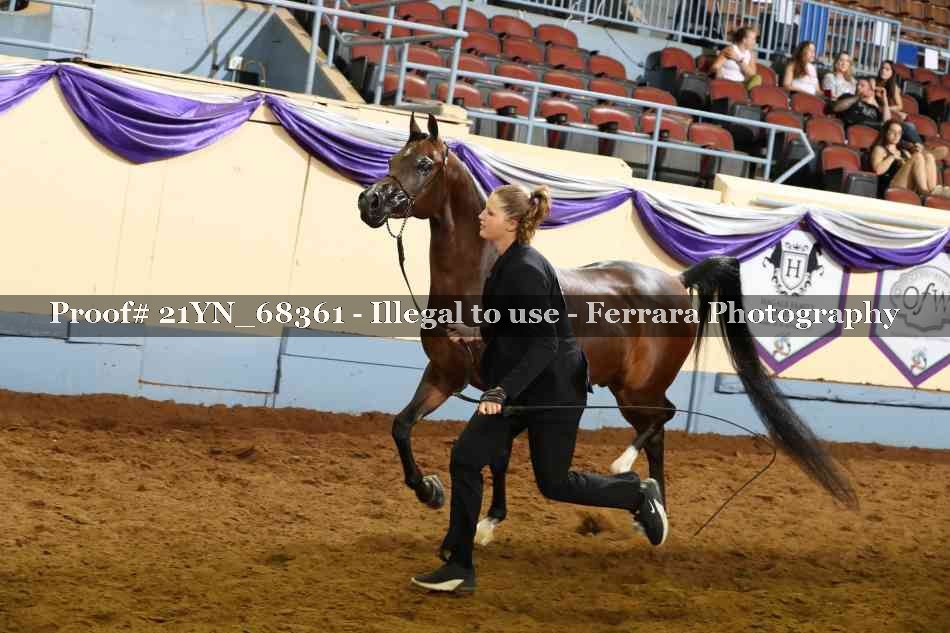 Proof 21YN_68361