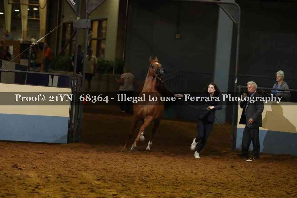 Proof 21YN_68364