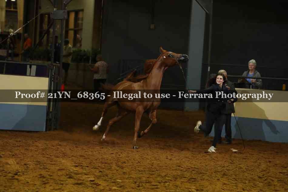 Proof 21YN_68365