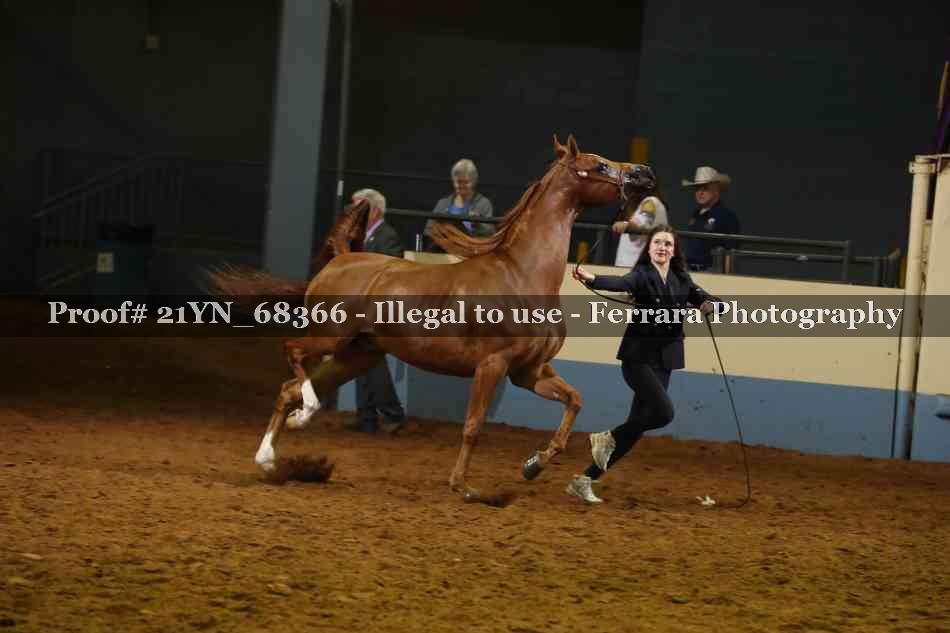 Proof 21YN_68366