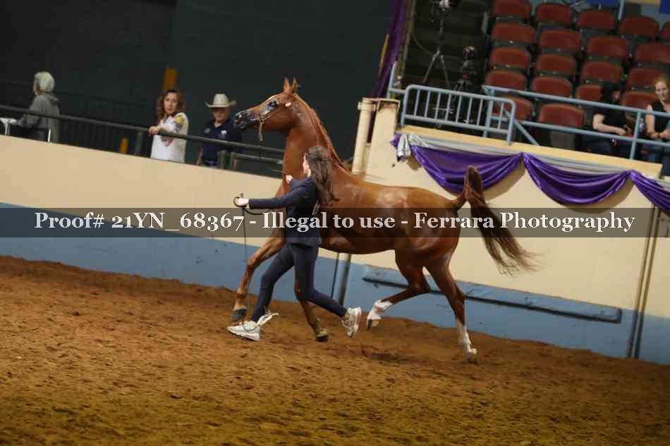 Proof 21YN_68367