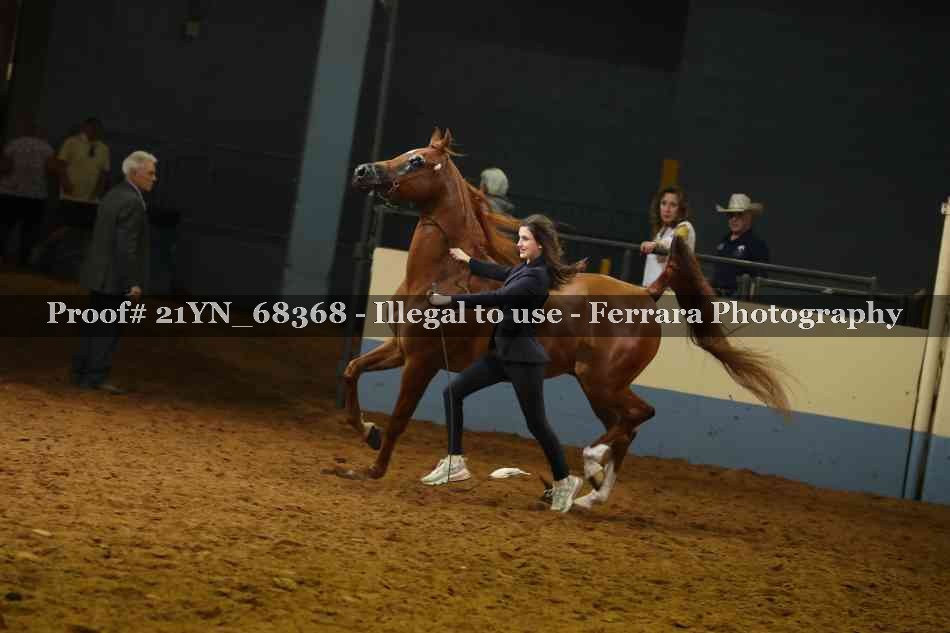 Proof 21YN_68368