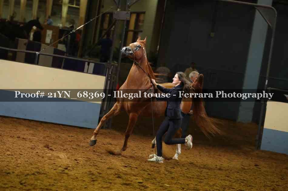 Proof 21YN_68369