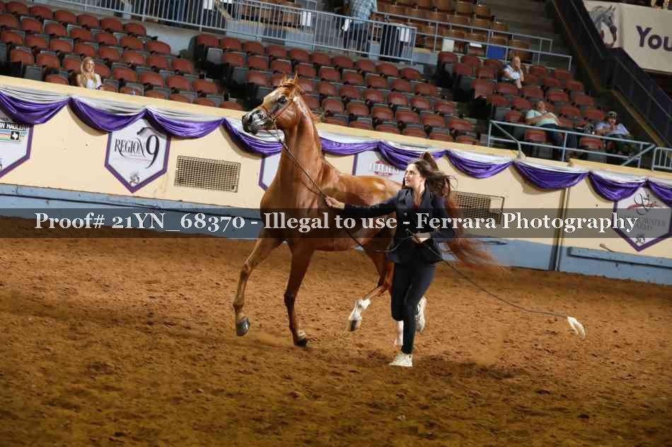 Proof 21YN_68370