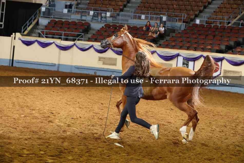 Proof 21YN_68371