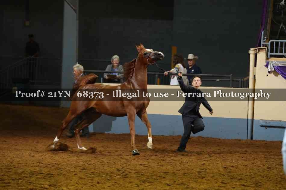 Proof 21YN_68373