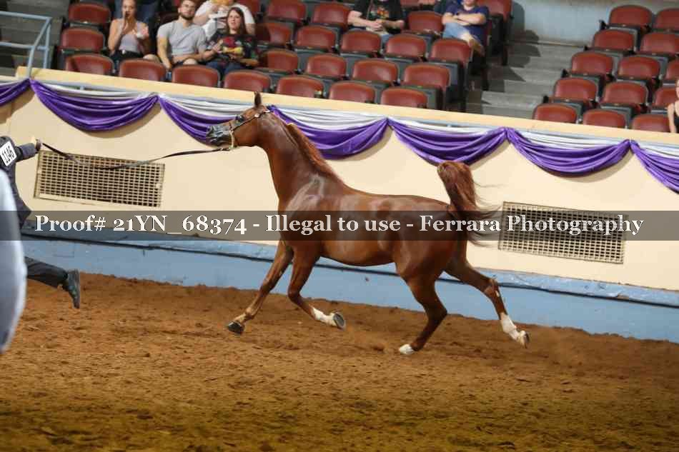 Proof 21YN_68374