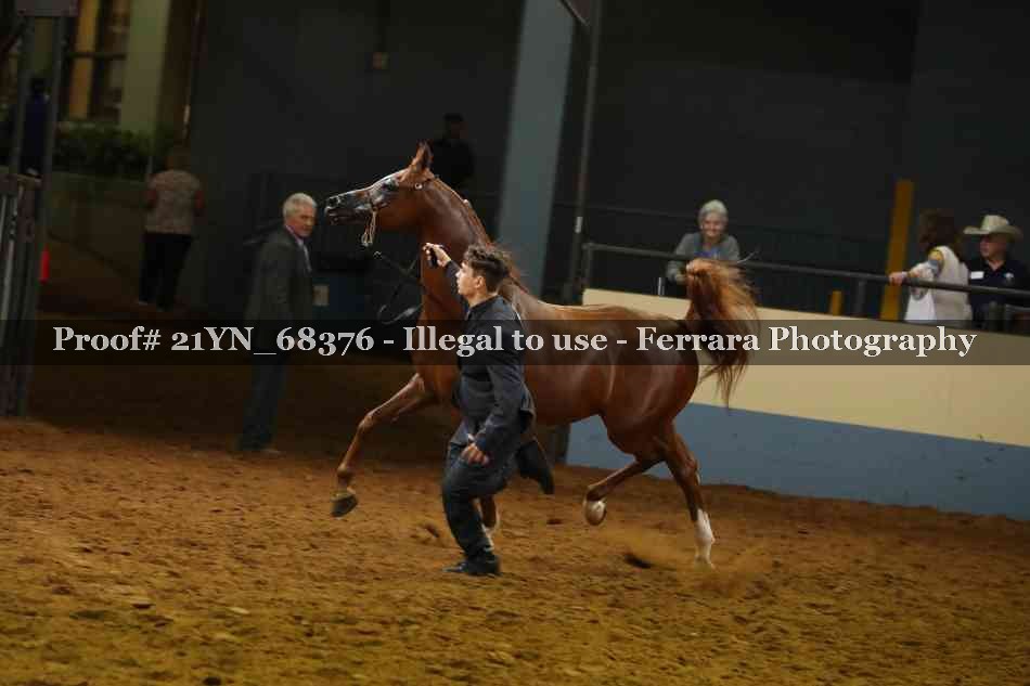 Proof 21YN_68376