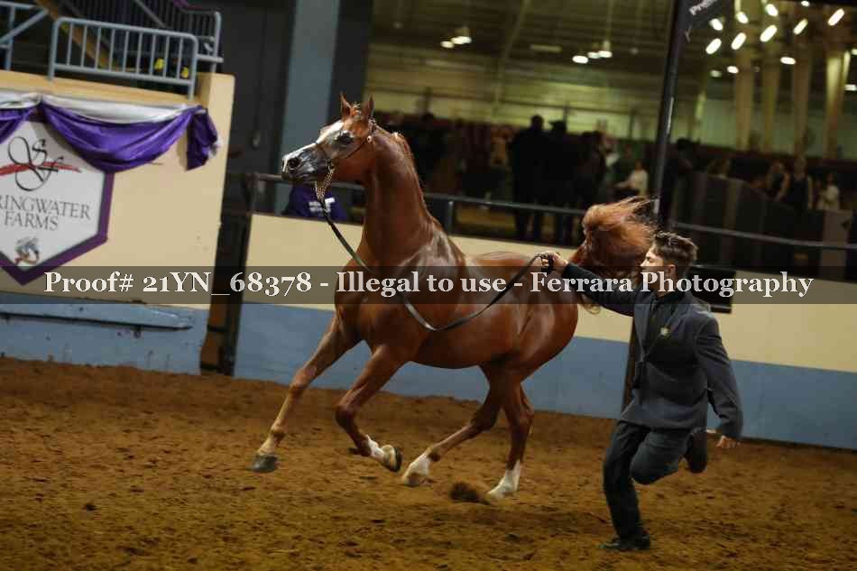 Proof 21YN_68378