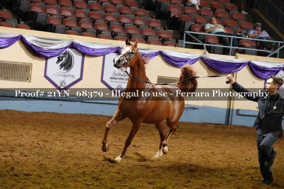 Proof 21YN_68379