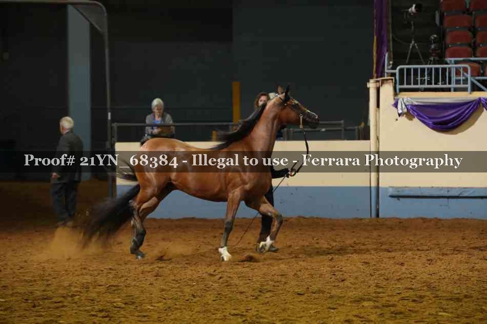 Proof 21YN_68384