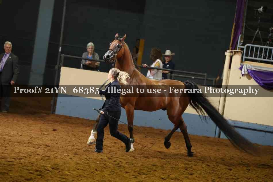 Proof 21YN_68385