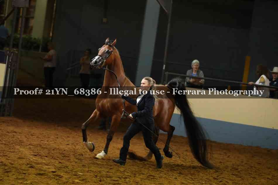 Proof 21YN_68386
