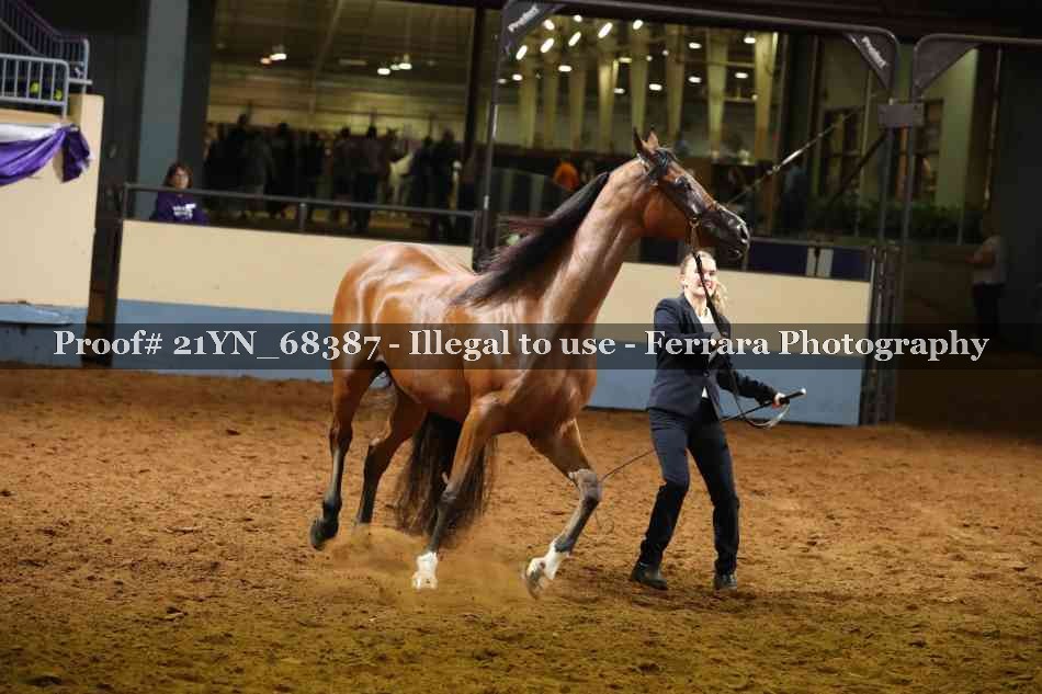 Proof 21YN_68387