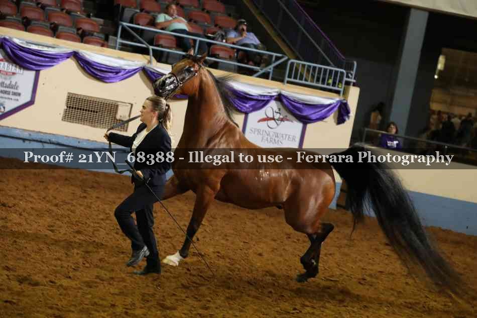 Proof 21YN_68388
