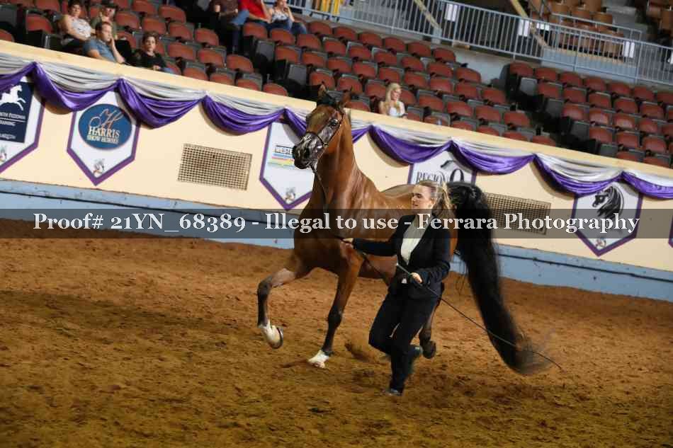 Proof 21YN_68389