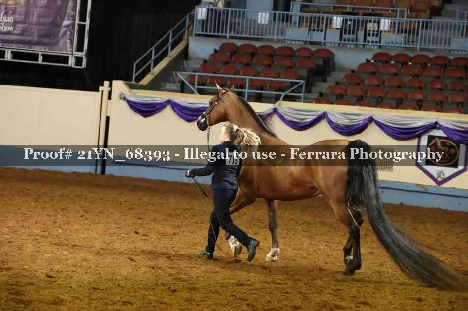 Proof 21YN_68393