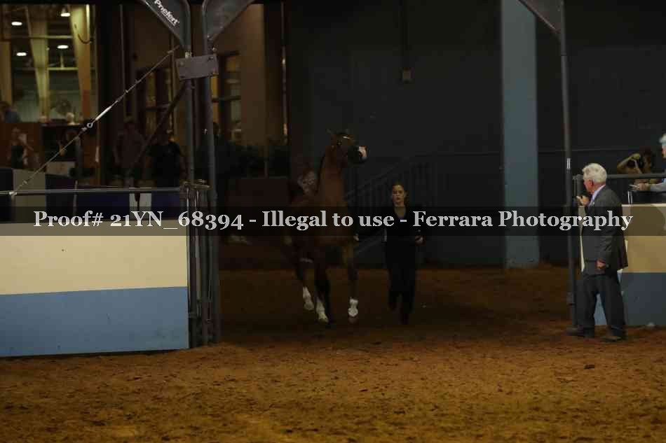 Proof 21YN_68394