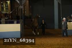 21YN_68394 proof