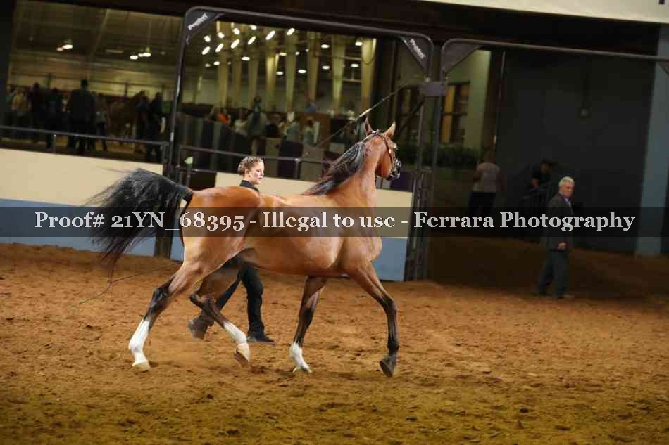 Proof 21YN_68395