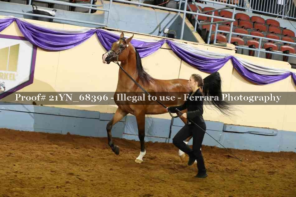 Proof 21YN_68396