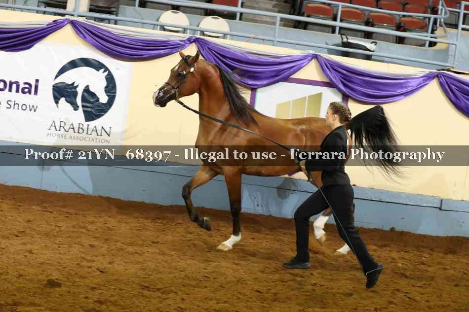 Proof 21YN_68397